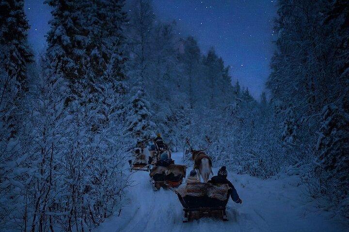 アプッカリゾートロヴァニエミの夜を渡るトナカイそりライド