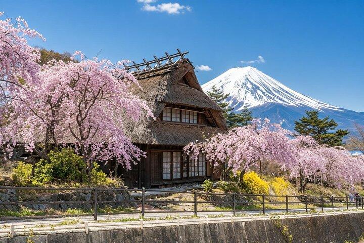 Tóquio: Excursão de um dia ao Monte Fuji