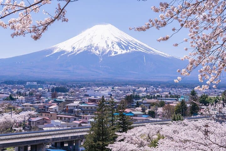 Mount Fuji Full Day Sightseeing Tour from Tokyo
