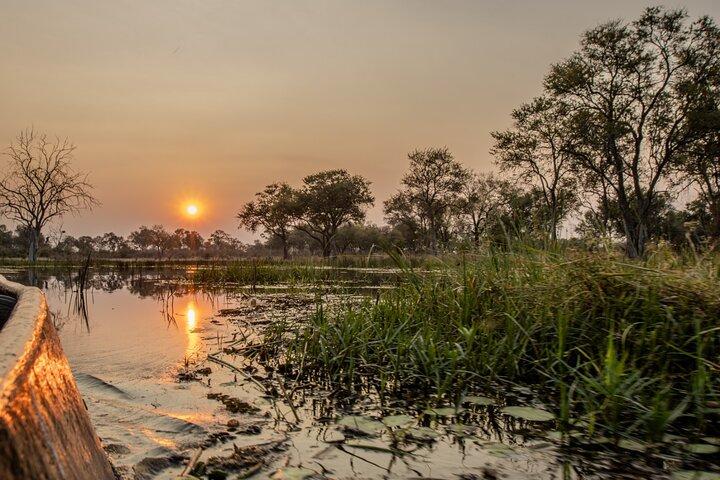 Luxury Okavango Safari - 4 Day