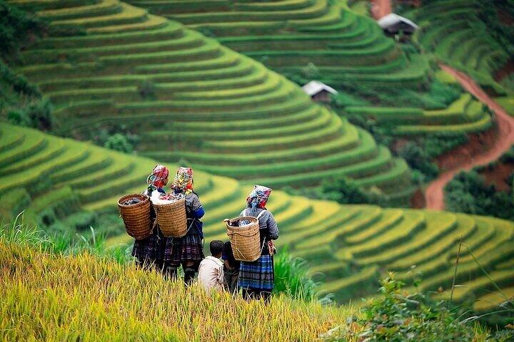 Sapa Trekking 3 Tage 2 Nächte im Hotel