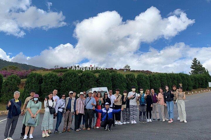 Ultimate Dalat Adventure Langbiang Mountain Crazy House and Falls