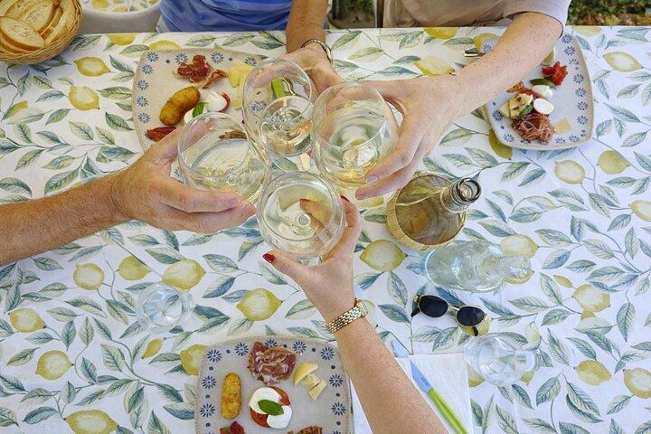 Amalfi : Tour Biologico del Limone + Limoncello + Miele + Degustazioni di Vini