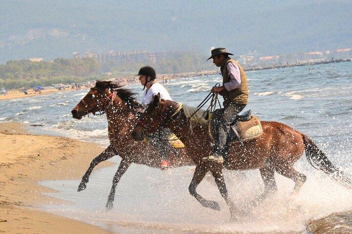 Kusadasi Safari a caballo con paseo por la playa de Pamucak