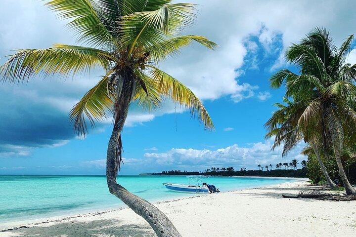 Découvrez le circuit Paradise of Saona Island au départ de Punta Cana