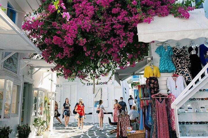 Privat Mykonos höjdpunkter Anpassningsbar rundtur Välj din tid