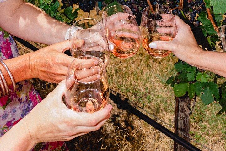 Visite privée du vin en limousine Pink Hummer 2 à Fredericksburg
