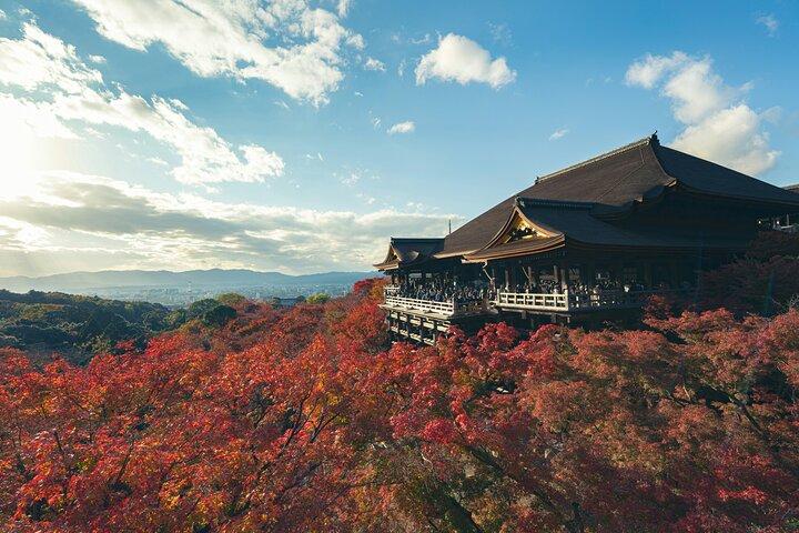 Kyoto Private Hightlights Customizable Tour&English Driver Guide