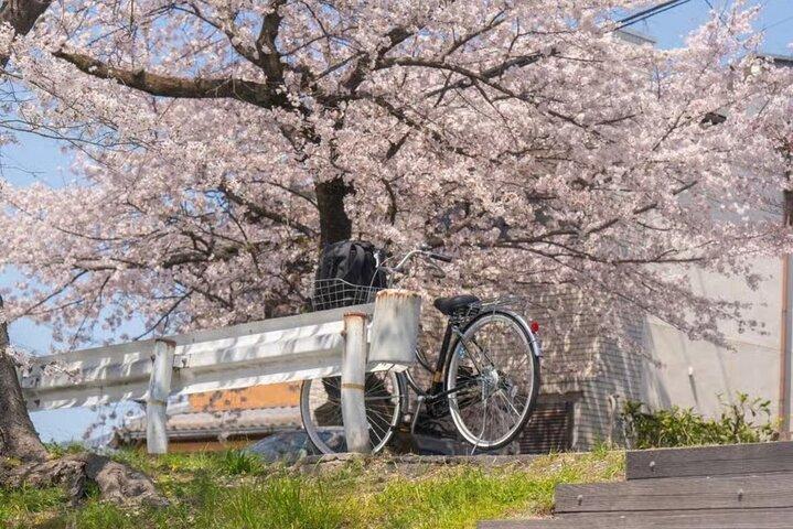 Kyoto Sakura Barco & passeio de carro sazonal