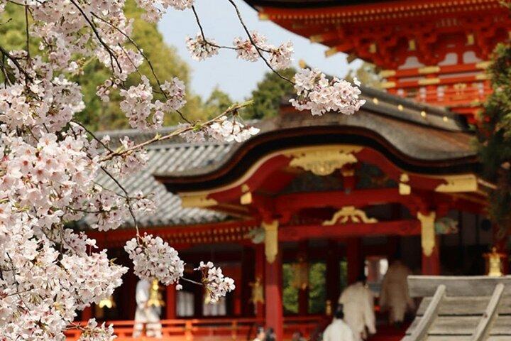 Kyoto Sakura Barco & passeio de carro sazonal