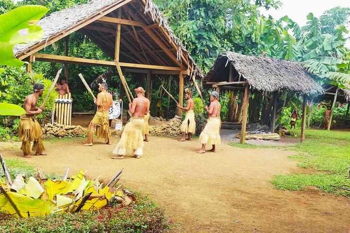 Efate Island Tour – Dorf, Schildkröten, Blaue Lagune & Eden River