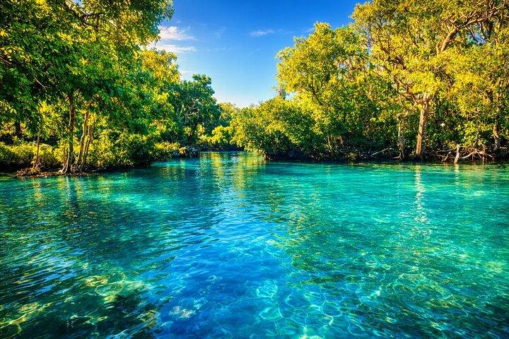 Efate Island Tour – Dorf, Schildkröten, Blaue Lagune & Eden River