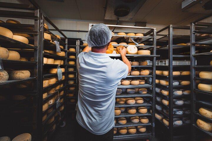 Tour Pecorino de Pienza