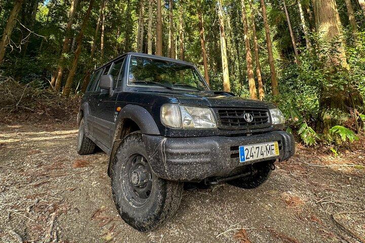 Excursão privada de meio dia Sete Cidades Jeep – Excursão na costa