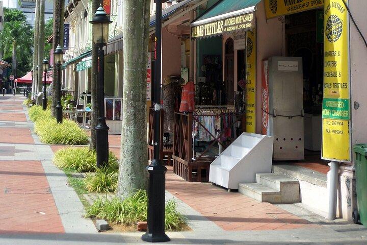 Chinatown, Kampong Glam e Little India Tour a piedi/in autobus/MRT