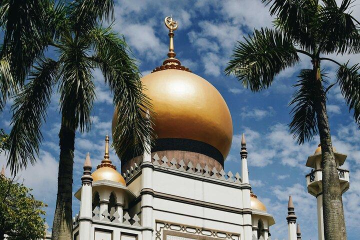 Chinatown, Kampong Glam e Little India Tour a piedi/in autobus/MRT