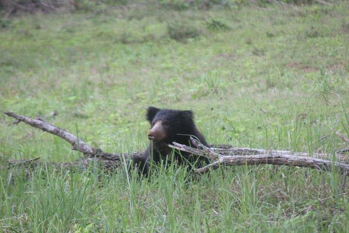 Privat Transfer from Ella to Miriss with Udawalawa safari