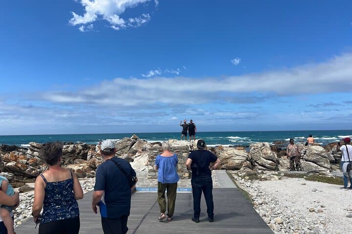 Cape Agulhas, Full-Day Private Tour & Wine Tasting from Cape Town