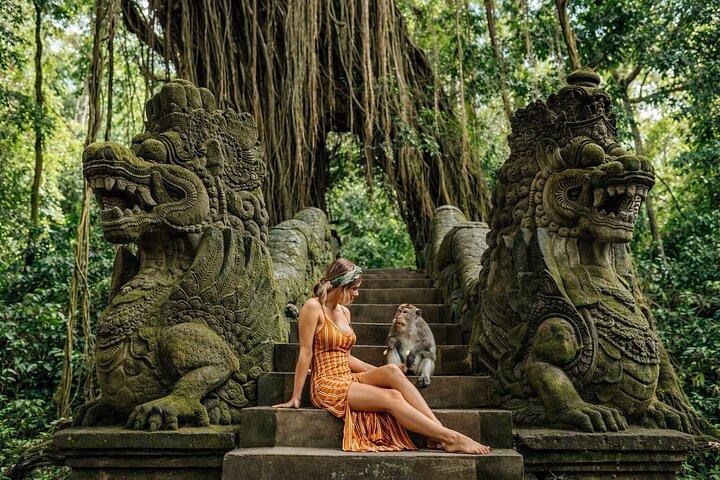 Benoa Cruise Port: tour privato di un giorno a Bali dalla nave da crociera