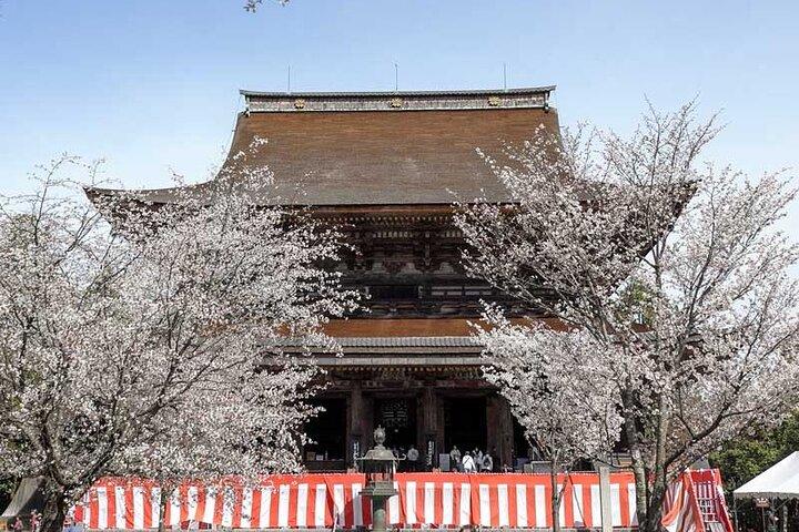 Tour a piedi di Yoshino Cherry Blossom con visita al tempio