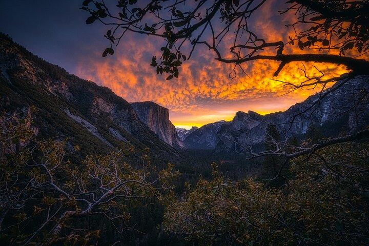 Soccer Fans 2026 : Yosemite & Kings Canyon NP 2 - Excursión de un día desde LA