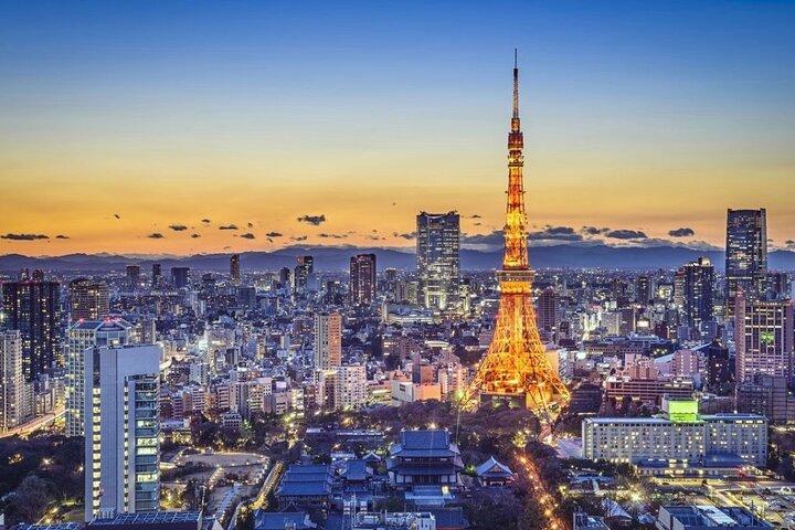 Yokohama/Tokyo Port to Disney: Ticket + Transfer & Tour Privado