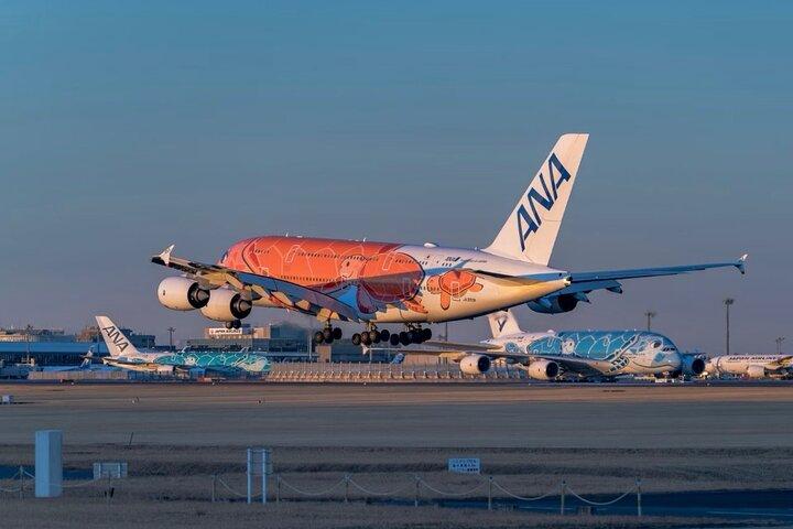 Flughafen Narita : Privater Transfer zum Kreuzfahrthafen Tokio/Yokohama