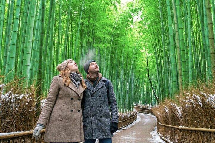 Kyoto : Arashiyama Unveiled – Bambo, Templo, Matcha, Macacos