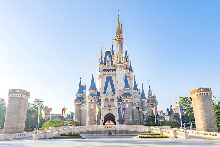 Tokyo Disneyland Ticket and Shared Transfers