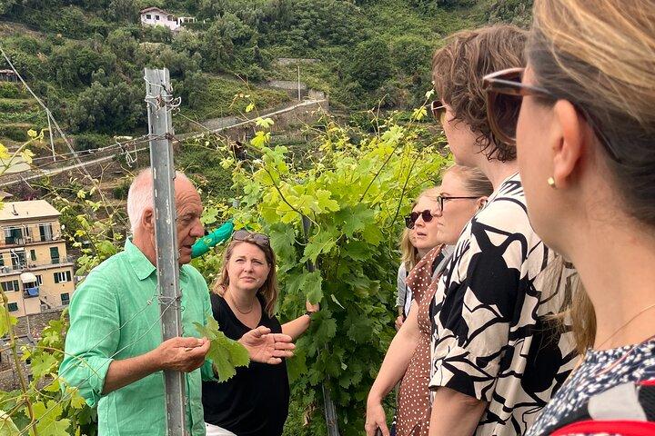 Expérience de dégustation de vin à Torre Bertram