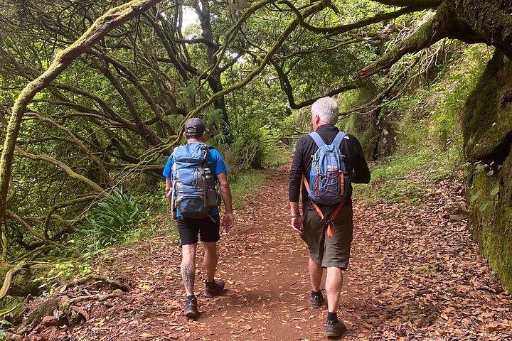 Levada do Rei - private afternoon walk