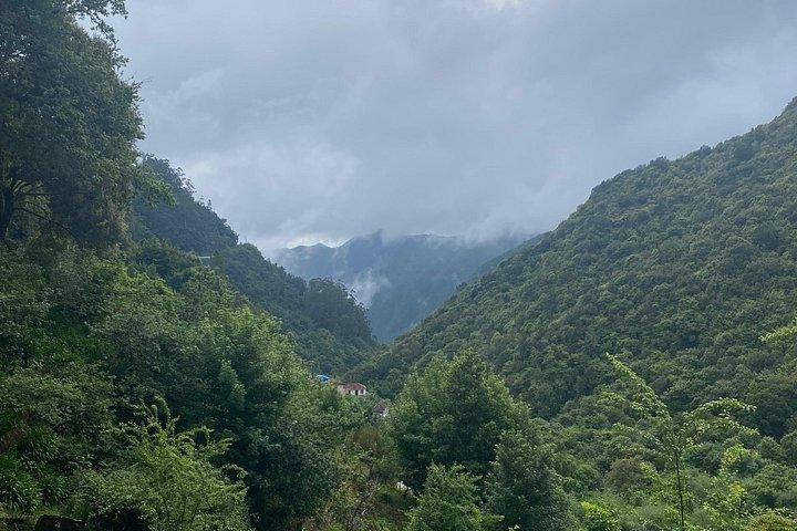 Levada do Rei - private afternoon walk