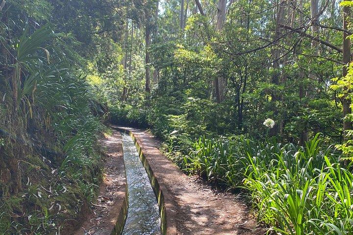 Levada do Rei - private afternoon walk