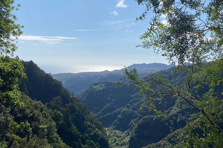 Levada do Rei - private afternoon walk