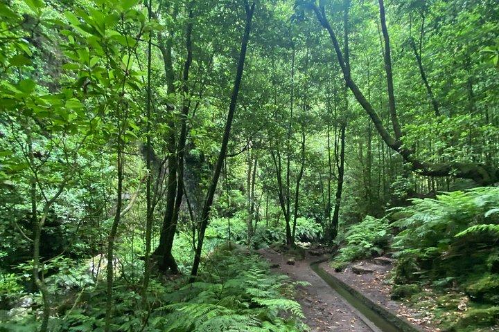 Levada do Rei - private afternoon walk