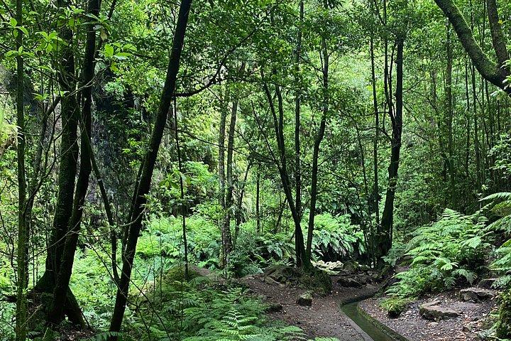 Levada do Rei - private afternoon walk