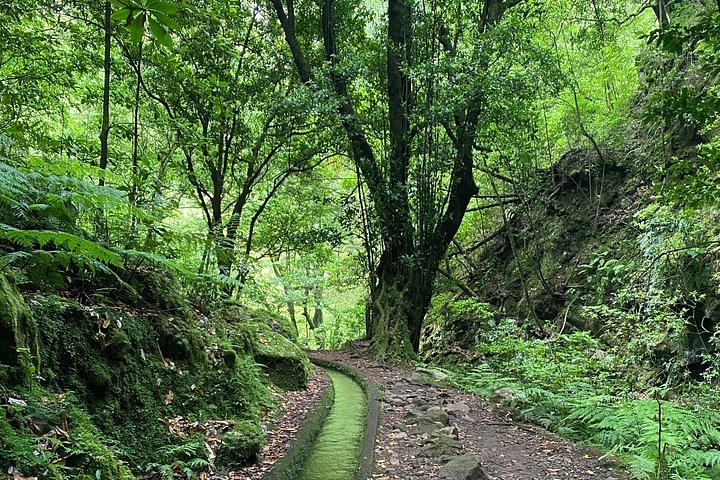 Levada do Rei - private afternoon walk