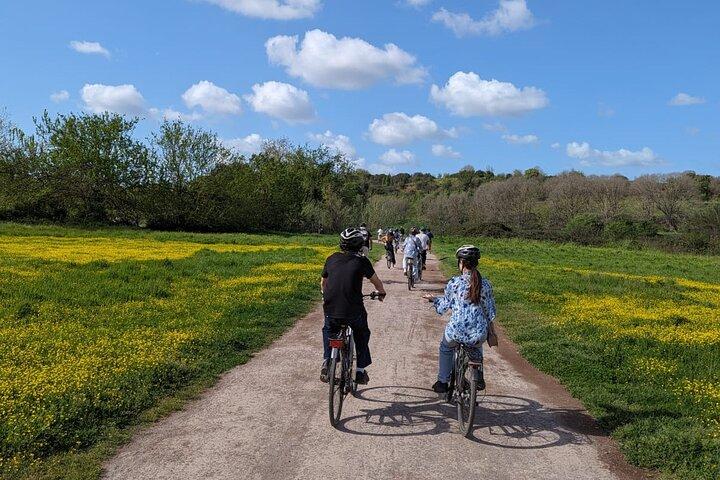 Appian Way Bike Rental Park Official Partner