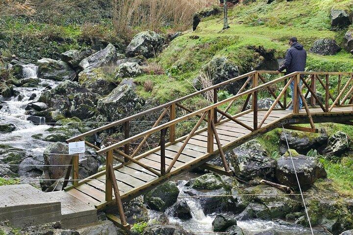 Tour di un'intera giornata a Nordeste e cascata con pranzo