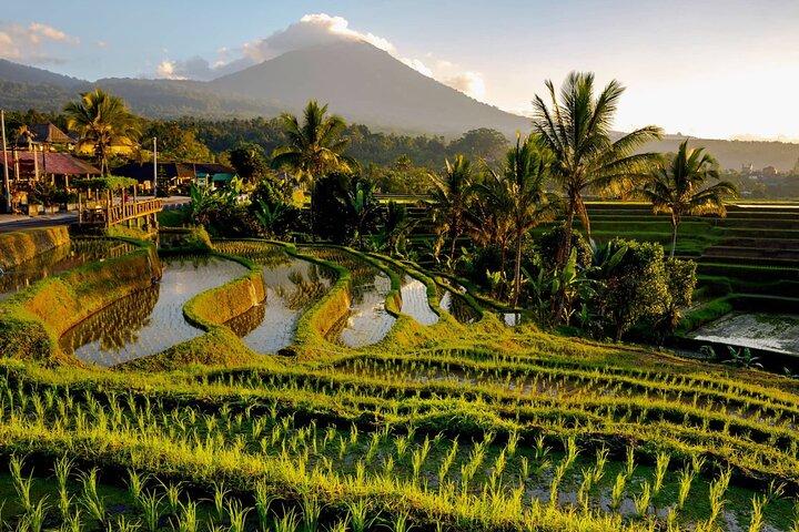 Tanah Lot Temple, Jatiluwih Rice Terrace en Beratan Lake Temple