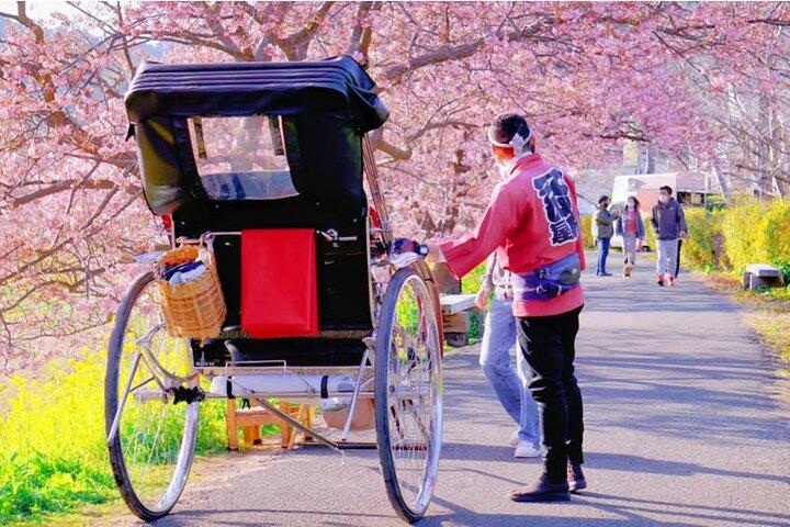 Tokyo Kawazu Cherry Blossom, Picking de morangos e Onsen Trip