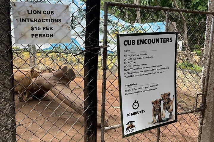 Tour Privado de Vida Silvestre Harare : Lion Park, Bird park & Snake Park