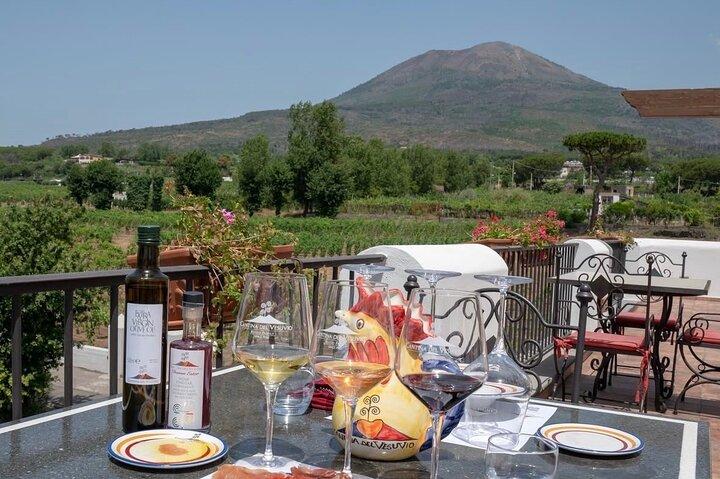 Excursão privada ao Monte Vesúvio com degustação de vinhos e almoço.