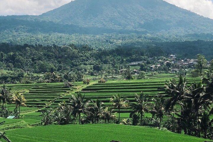 Tour de um dia privado em Bali com motorista Especialista e itinerário personalizado