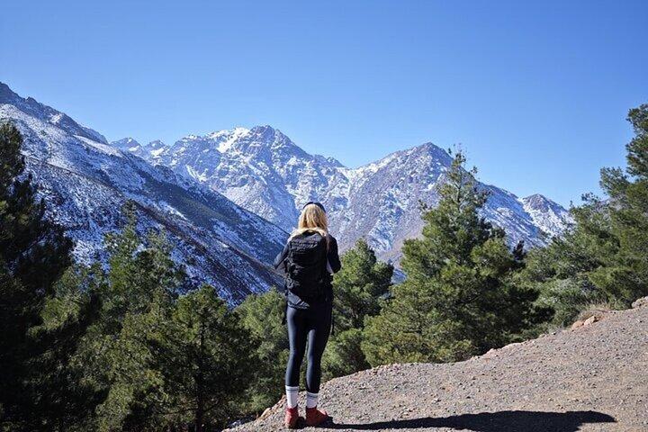 Marrakech : Atlas Mountains Talamrout Summit Day Trek 2700M （マラケシュ）