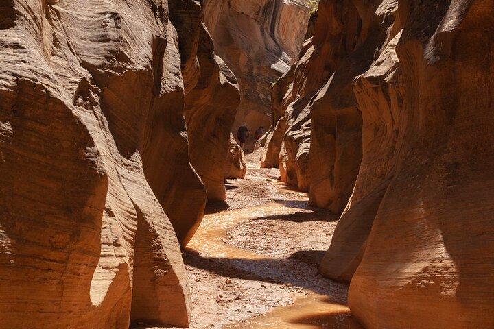 Escursione privata di un giorno al Bryce Canyon e Slot Canyon