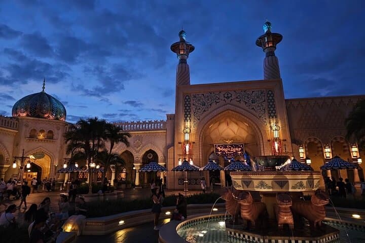 Haneda Airport Private Transfer To or From Tokyo Disney Resort