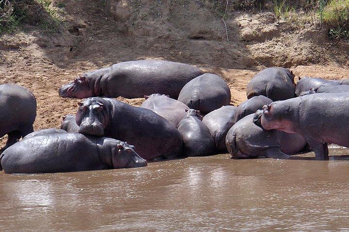 マサイマラ、ナクル湖、アンボセリ4WDサファリ
