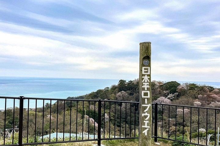 Shimizu Customizable Tour with National Licensed Guide by Car