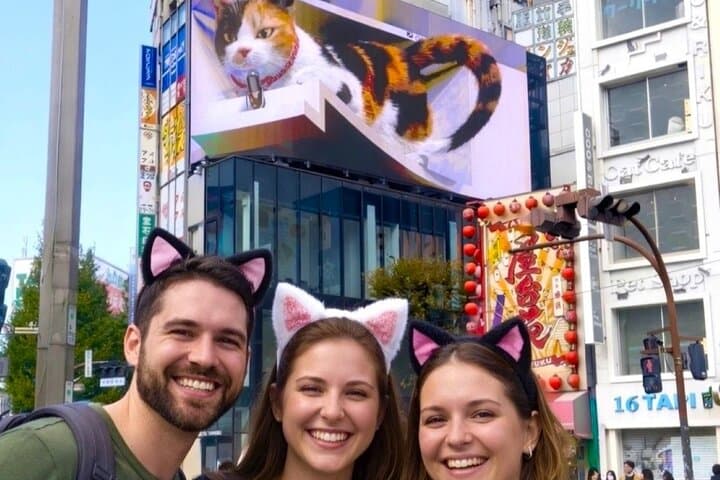 Tokyo: Gotokuji Lucky Cat Temple, Shinjuku Cat Cafe, 3D Giant Cat